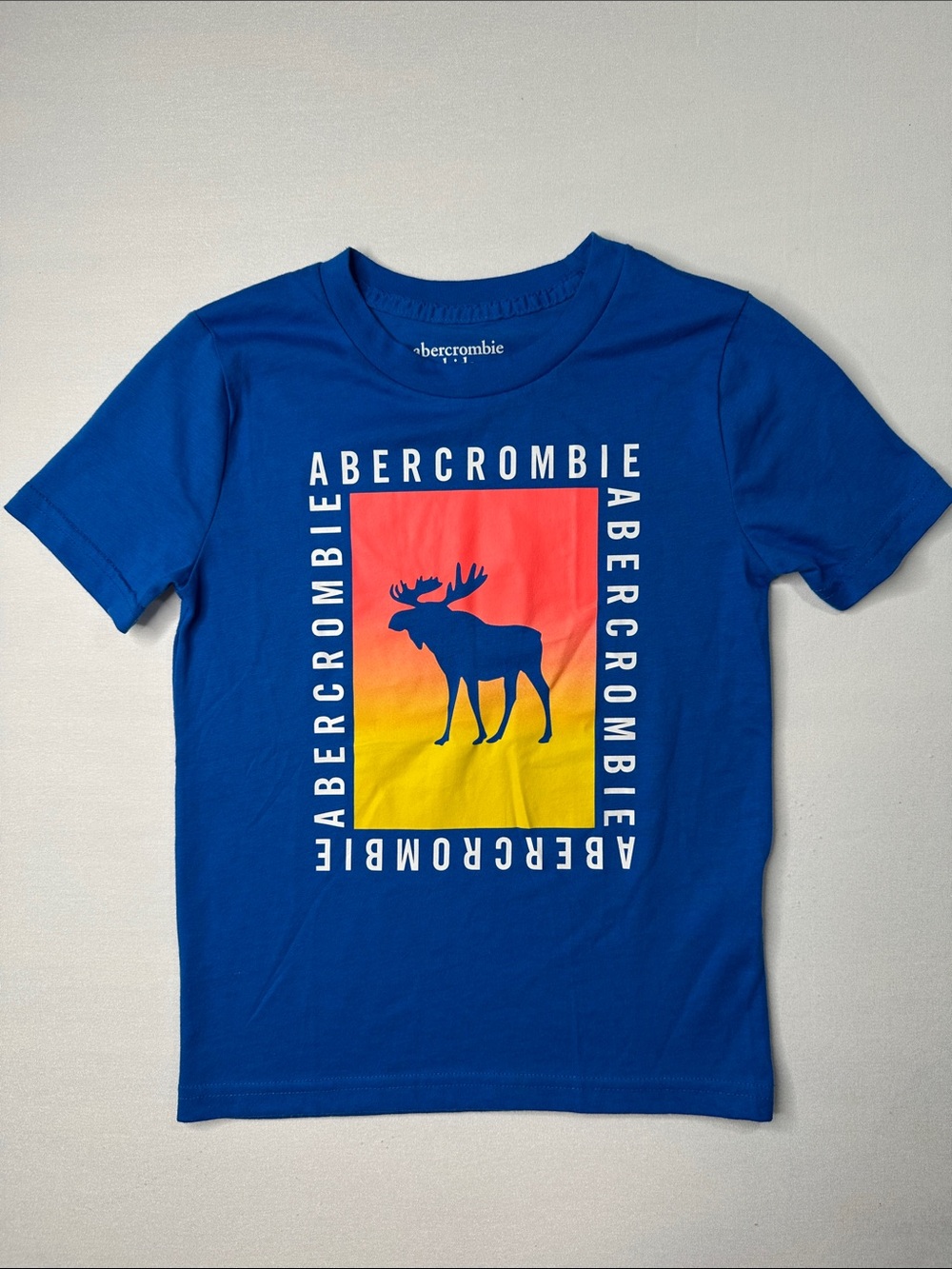 Abercrombie & Fitch Royal Blue Tee with Sunset Moose Graphic